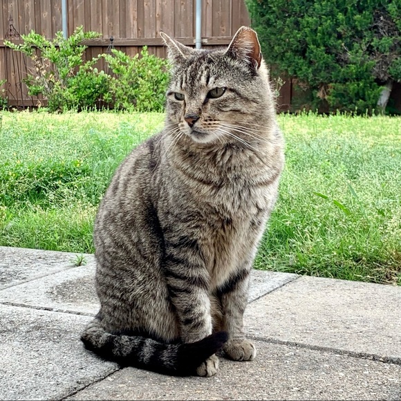 Stripes & Baby - Picture 3 of 8